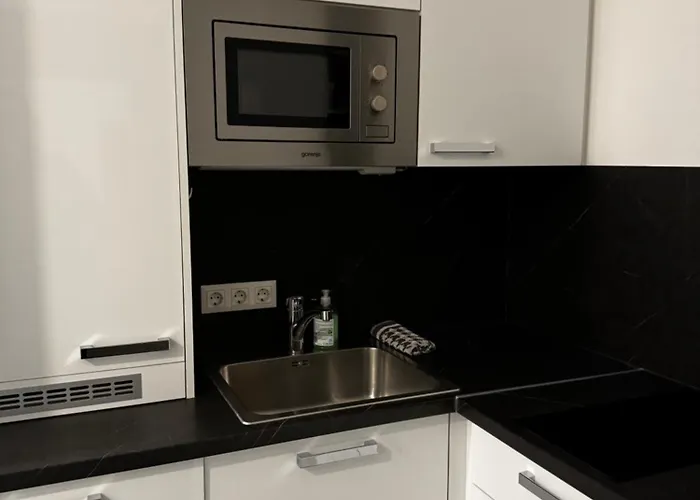 Gg Immobilien-15 Min To Centre * Vienna
